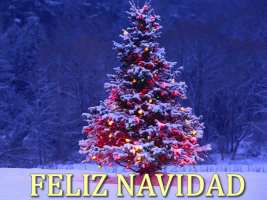 IMÁGENES ÁRBOL DE NAVIDAD