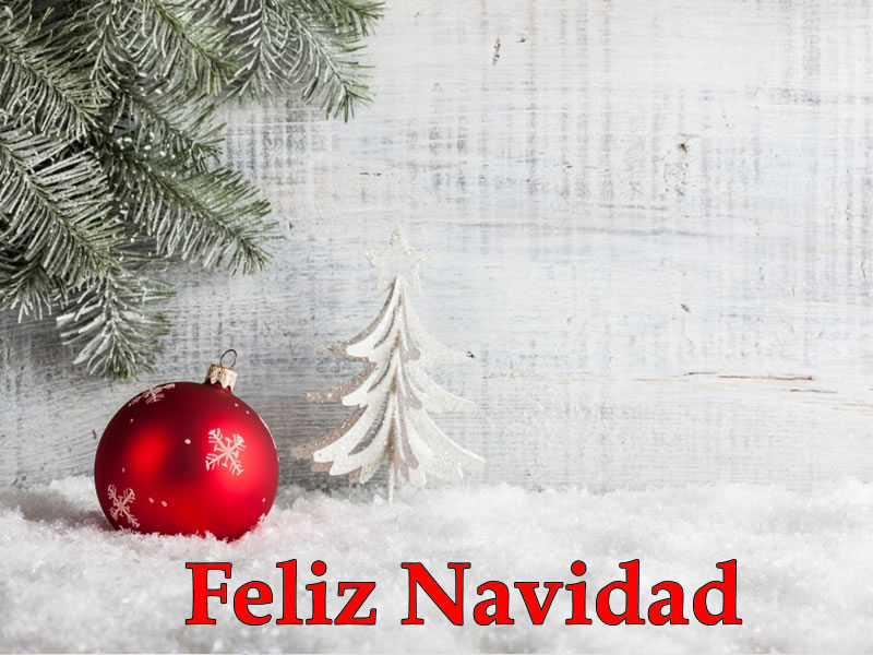 Resultado de imagen para feliz navidad imagenes