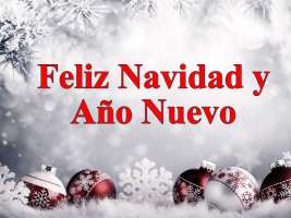 FELIZ NAVIDAD AÑO NUEVO